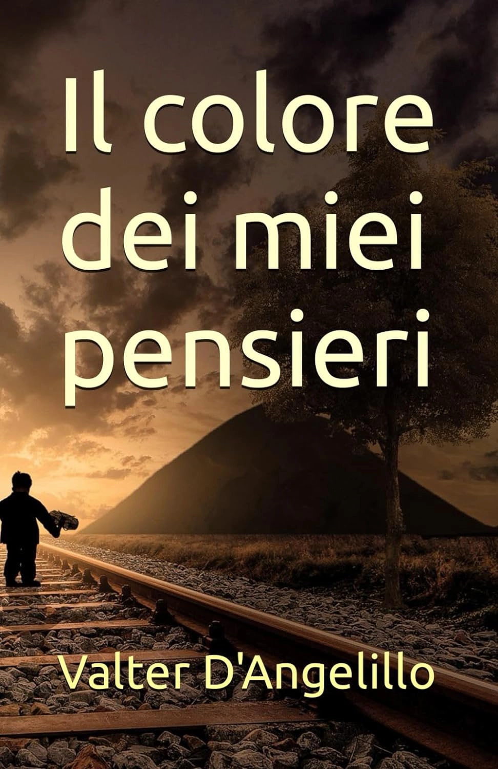 Copertina del libro Il colore dei miei pensieri
